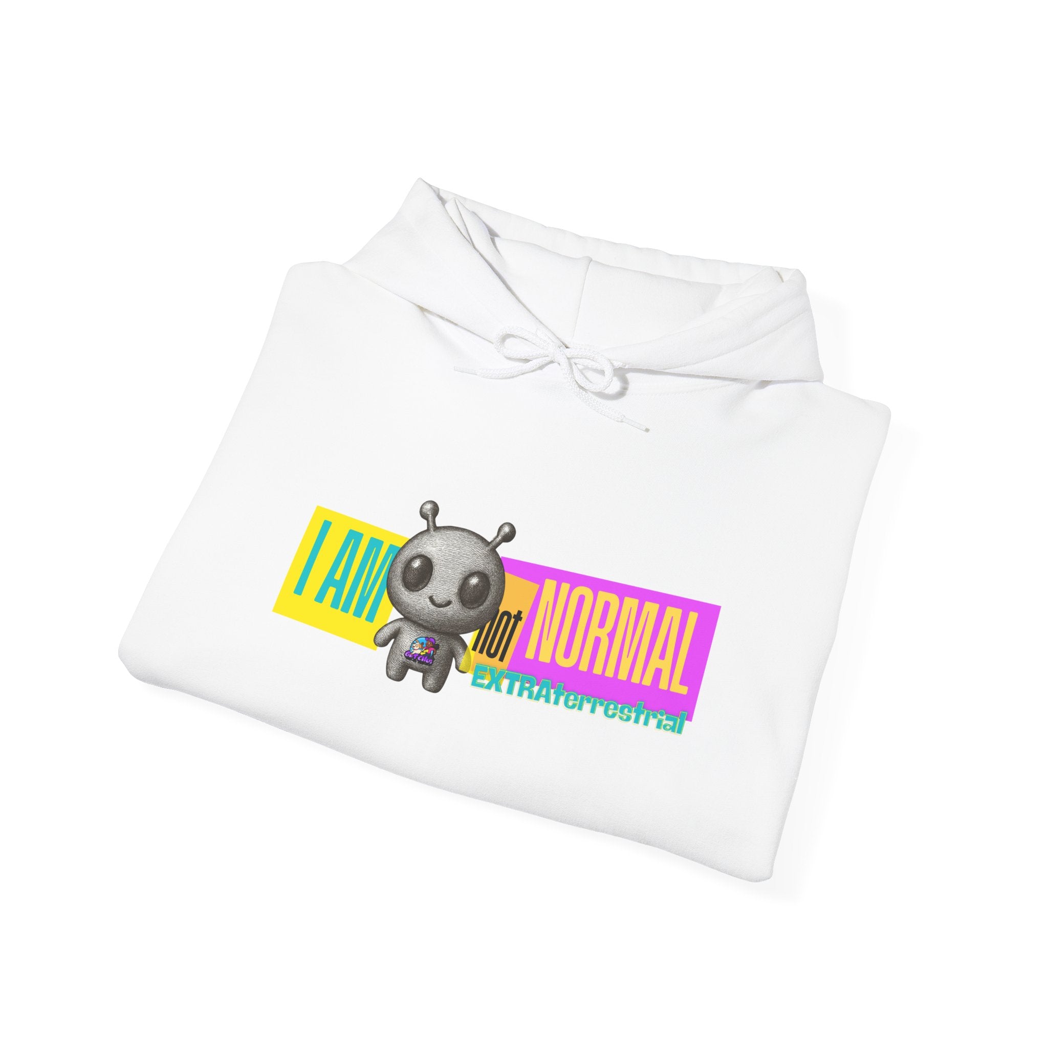 I AM NOT NORMAL Hoodie